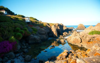 How-to Discover The Top Hidden Gems – Things To Do In Orange County