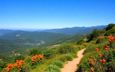 Orange County hiking and biking trails