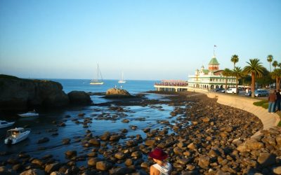 Discover Local Adventures Across Orange County